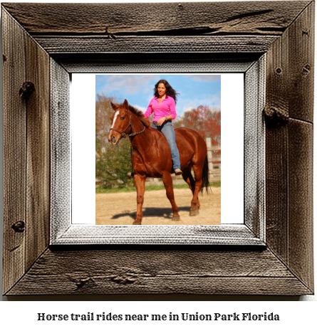 horse trail rides near me in Union Park, Florida